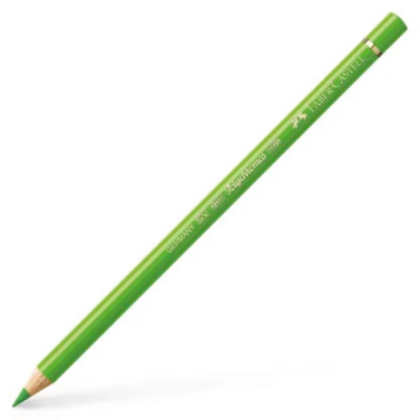 Lápis de Cor Polychromos 9201-166 Verde Grama