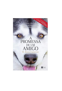 a Promessa de Um Amigo