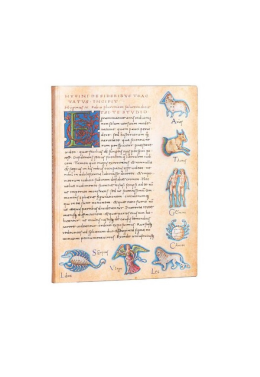 Caderno 14x18 Pautado Astronomica Midi Pb7289-8 Paperblanks
