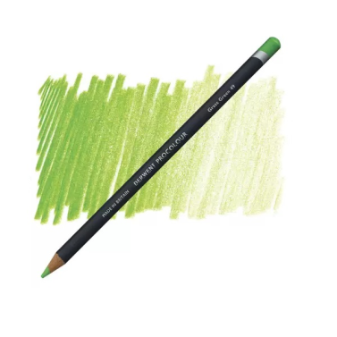 Lápis de Cor Procolour Grass Green 49 Derwent
