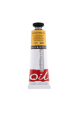 Tinta Oleo 38ml Amarelo Cadmio Hue 620 Dale & Rowey