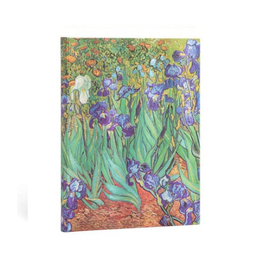 Caderno 18x23 Pautado 72fls Van Gogh's Irises Ultra Fb8202-6 Paperblanks