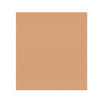 Papel Desenho Pastelmat 30x40 360gr Sienna Clarifontaine