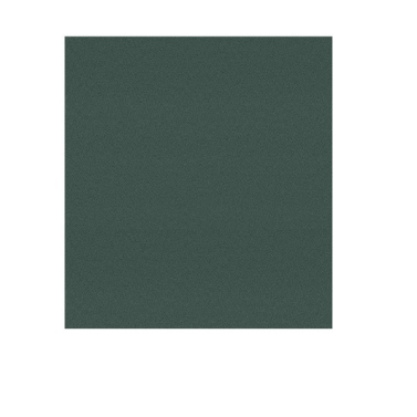 Papel Desenho Pastelmat 30x40 360gr Dark Green Clarifontaine