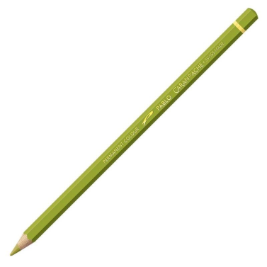 Lápis de Cor Pablo 016 Khaki Green Carand'ache