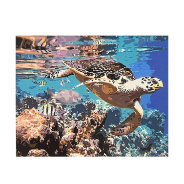 Tela Pintura Numerada 40x50 Tartaruga Marinha C3040-w3306 Sinoart